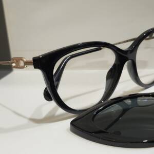 Emporio Armani 4213